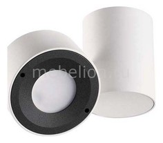 Светильник на штанге Tunasio 3588/1C Odeon Light
