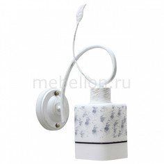 Бра Albina TC-310-301 Collezioni