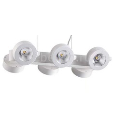 Подвесной светильник Pumavi 3493/60L Odeon Light