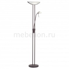 Торшер с подсветкой Baya 85976 Eglo