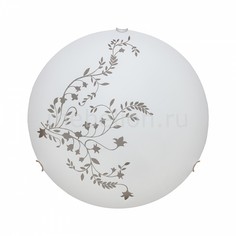 Накладной светильник Symphony A3820PL-2CC Arte Lamp