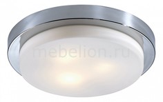 Накладной светильник Holger 2746/3C Odeon Light