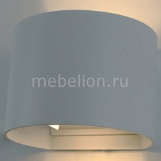 Накладной светильник A1415AL-1WH Arte Lamp