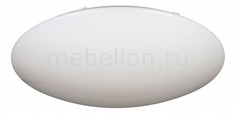 Накладной светильник OML-430 OML-43007-100 Omnilux