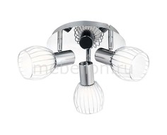 Спот Colubris 54531-3 Globo