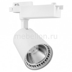 Светильник на штанге AL100 29508 Feron