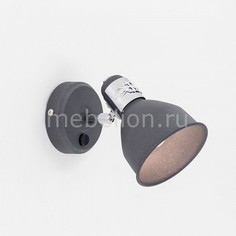 Бра Опус CL502514 Citilux