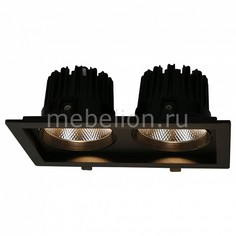 Встраиваемый светильник Privato A7018PL-2BK Arte Lamp