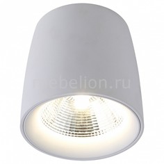 Накладной светильник Gamin 1312/03 PL-1 Divinare