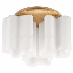 Накладной светильник Nubi Legno 802035 Lightstar