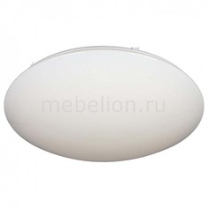 Накладной светильник Berkeley OML-43017-80 Omnilux