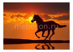 Панно (70х50 см) Лошадь 320362893 Ekoramka