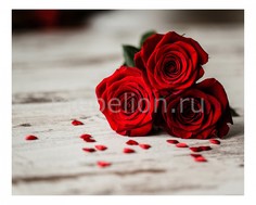 Панно (50х40 см) Розы 1706145К5040 Ekoramka