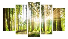 Набор из 5 панно (1350х820 см) Солнце в лесу 1768582М13582 Ekoramka