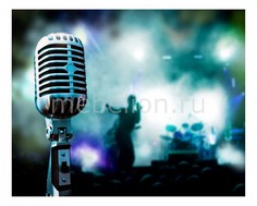 Панно (50х40 см) Микрофон 1709027К5040 Ekoramka