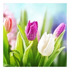 Панно (30х30 см) Тюльпаны 17176301К3030 Ekoramka