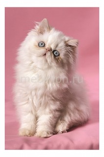 Панно (60х40 см) Котенок 115555078 Ekoramka
