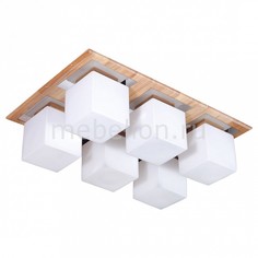 Накладной светильник Natura 084.6 Lucia Tucci