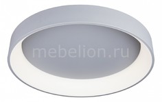 Накладной светильник 48517 OML-48517-96 Omnilux