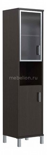 Шкаф комбинированный Skyland Born B 431.9