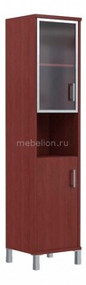 Шкаф комбинированный Skyland Born B 431.9
