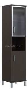 Шкаф комбинированный Skyland Born B 431.9