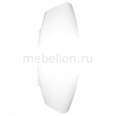 Накладной светильник Aqua A6940AP-1WH Arte Lamp