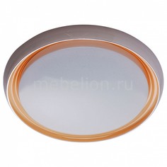 Накладной светильник Ривз 7 674011801 Mw Light