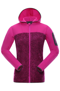 hoodie Alpine Pro