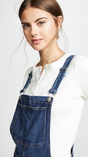 Madewell Indigo Skinny Overalls