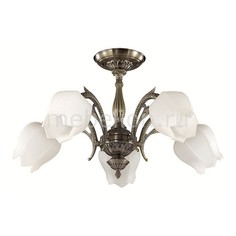 Люстра на штанге Lysette 2986/5C Lumion