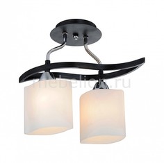Светильник на штанге 859 859/2PF-Dark Id Lamp