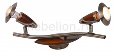 Спот Earl 5435-2 Globo