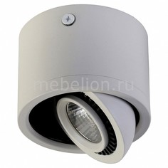 Накладной светильник Reflector 1774-1C Favourite