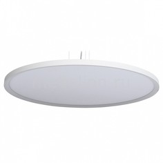Подвесной светильник Ривз 1 674010101 Mw Light
