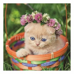 Панно (40х40 см) Котенок 138694459 Ekoramka