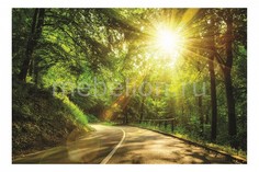 Панно (60х40 см) Лесная дорога 140147454 Ekoramka