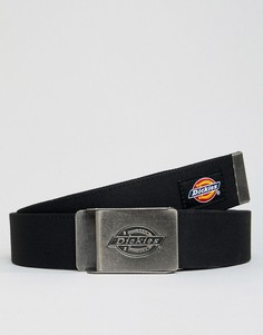 Черный плетеный ремень Dickies Webster - Черный