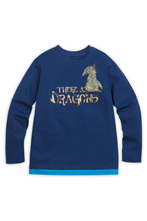 Джемпер Pelican