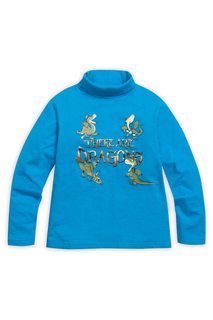 Джемпер Pelican