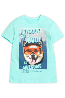 Футболка Pelican