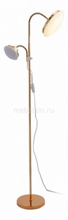 Торшер с подсветкой Pratico SLE120.205.02 St Luce