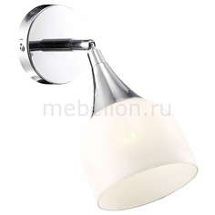 Спот Trumpet A9556AP-1CC Arte Lamp