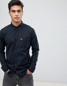 Черная обтягивающая оксфордская рубашка с логотипом Hollister - Черный