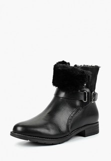 Полусапоги T.Taccardi