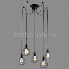 Подвесной светильник 1109 A1109SP-5BK Arte Lamp