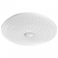 Накладной светильник 2460 A2460PL-1WH Arte Lamp
