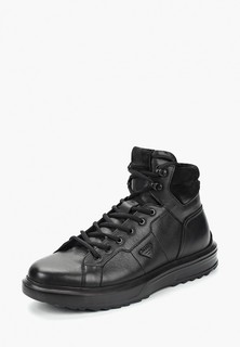 Кеды Just Couture