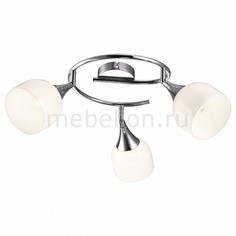 Спот Trumpet A9556PL-3CC Arte Lamp