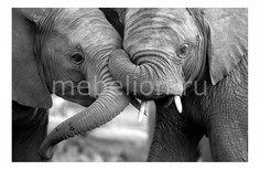 Панно Elephants 323083 ОГОГО Обстановочка